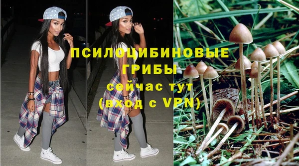 мдпв Беломорск