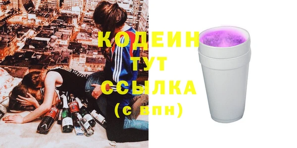 дживик Белокуриха